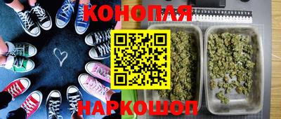 прущие грибы Анапа