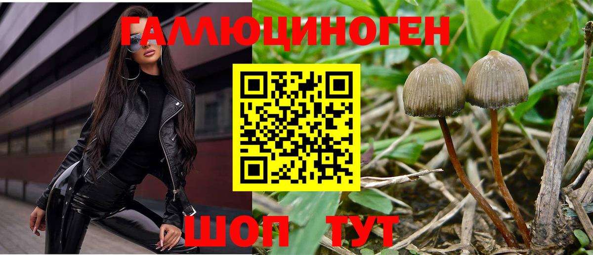 Галлюциногенные грибы MAGIC MUSHROOMS Кувандык