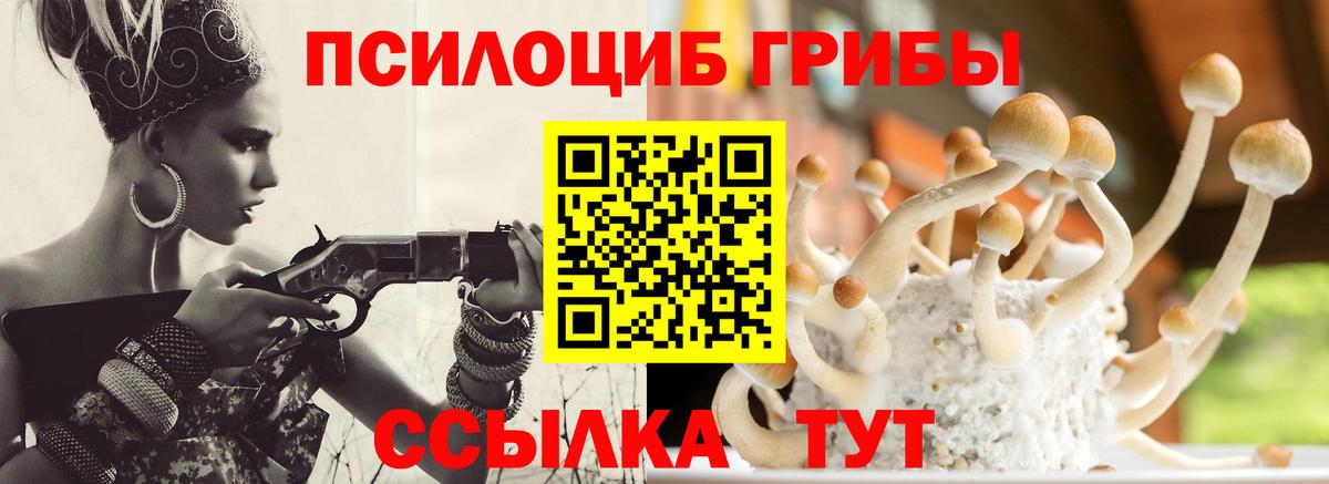 магазин продажи   Галлюциногенные грибы мицелий  Вход с VPN  Кувандык 