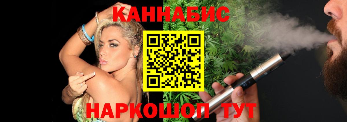 Каннабис сатива Кувандык